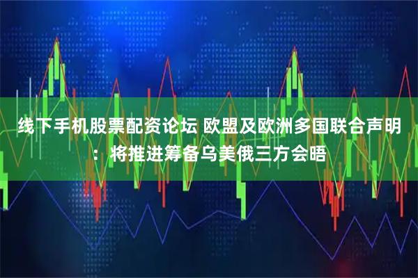 线下手机股票配资论坛 欧盟及欧洲多国联合声明：将推进筹备乌美俄三方会晤